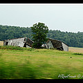 'Brokeback Barn'